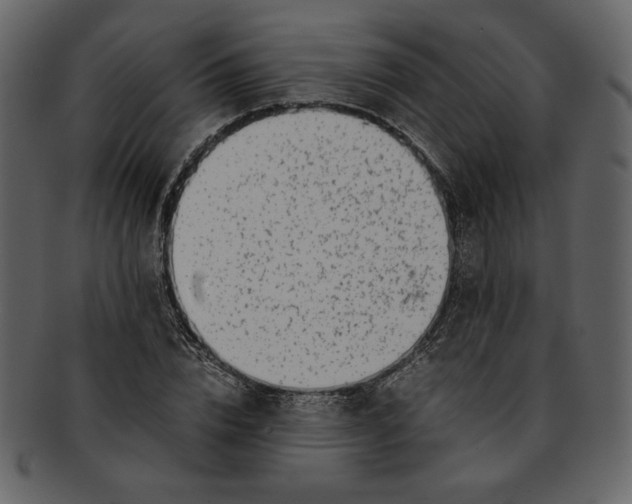 X0000093230832200710171417