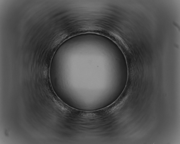 X0000093230833200710171417