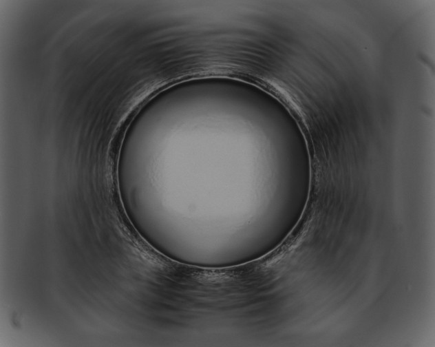 X0000093230835200710171417