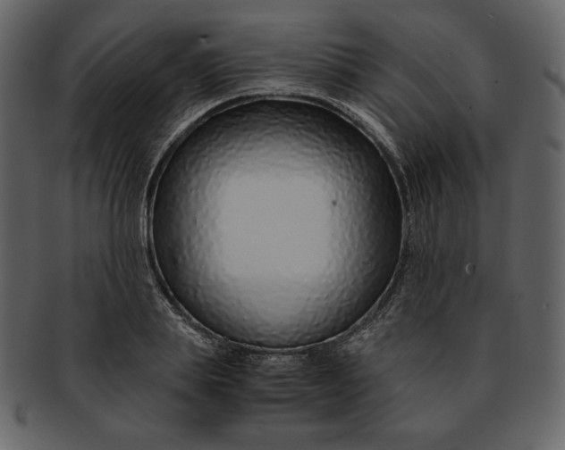 X0000093230839200710171417