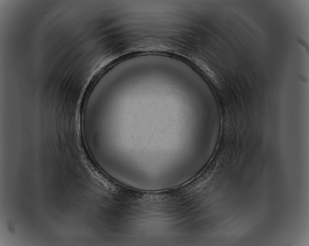 X0000093230840200710171417