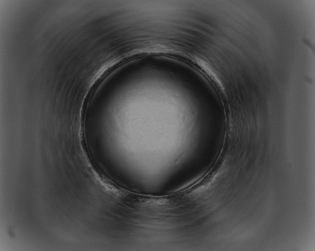 X0000093230845200710171417