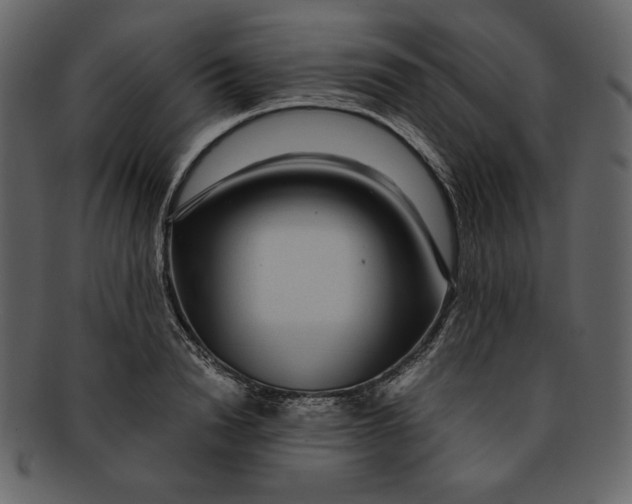 X0000093230846200710171417