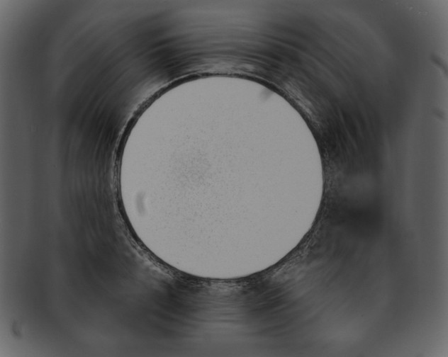 X0000093230848200710171417