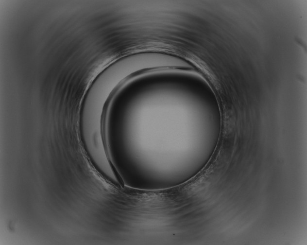 X0000093230850200710171417