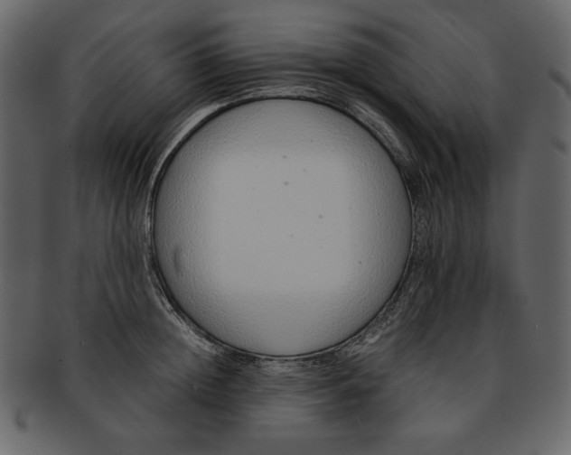 X0000093230852200710171417