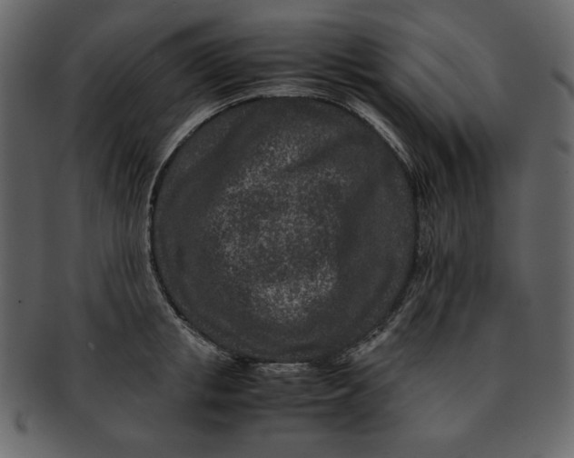 X0000093230853200710171417