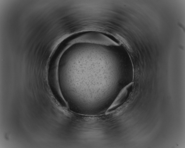 X0000093230854200710171417