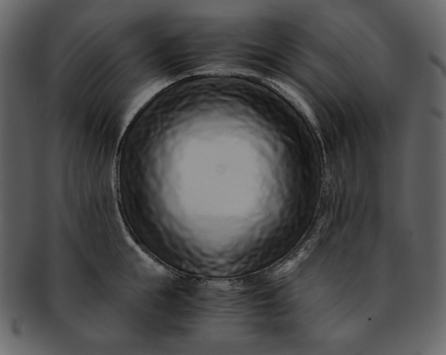 X0000093230855200710171417