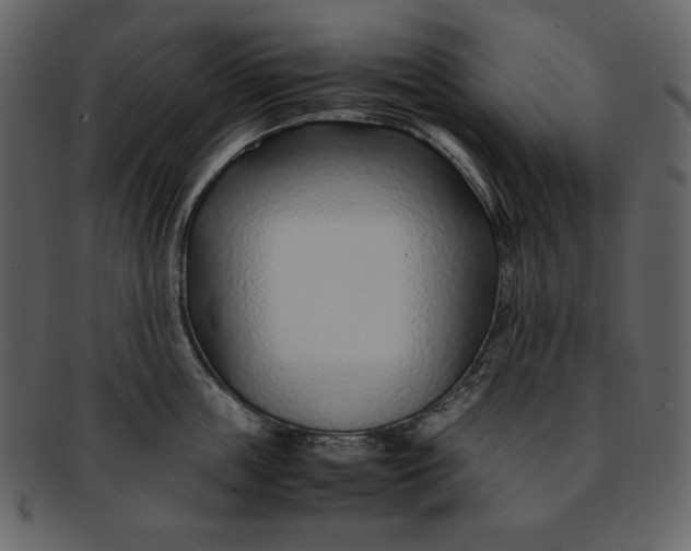 X0000093230859200710171417