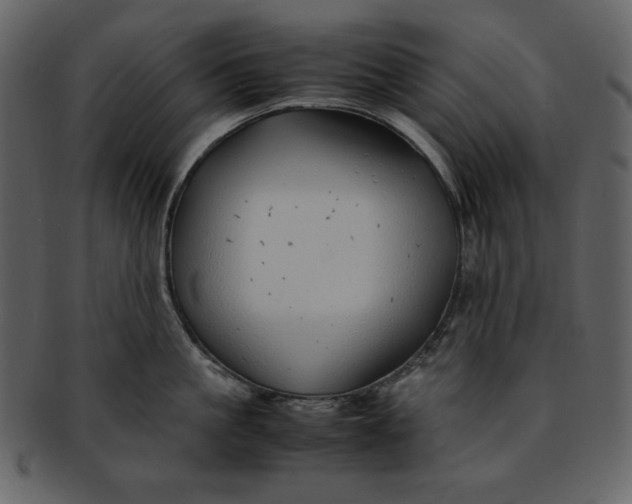 X0000093230861200710171417