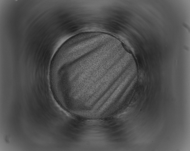 X0000093230863200710171417