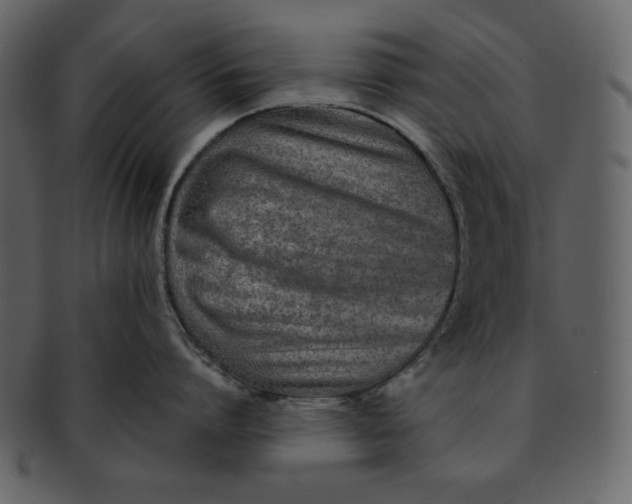 X0000093230864200710171417