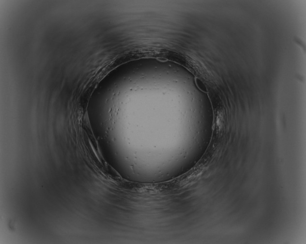 X0000093230867200710171417