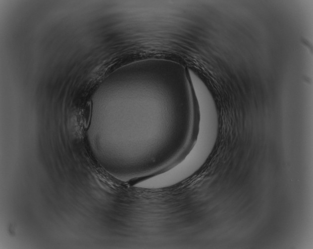 X0000093230868200710171417