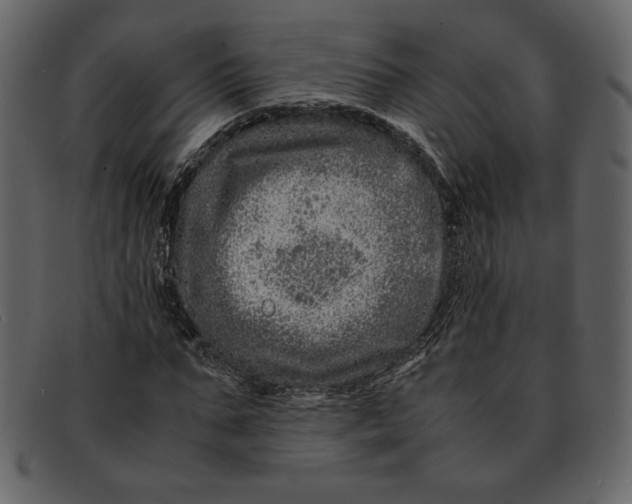 X0000093230871200710171416