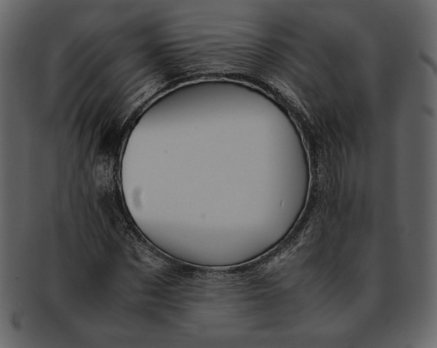 X0000093230873200710171416