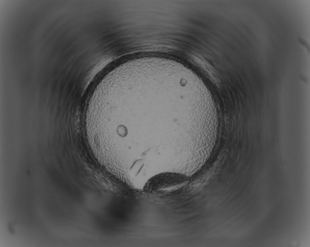 X0000093230875200710171416