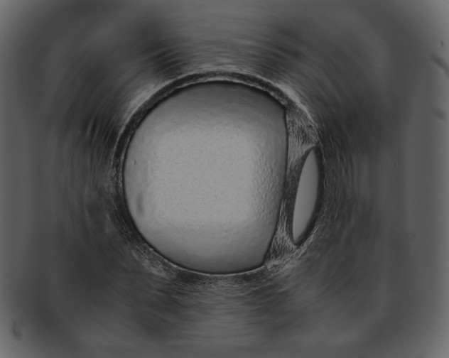 X0000093230879200710171416