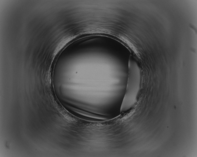 X0000093230885200710171416