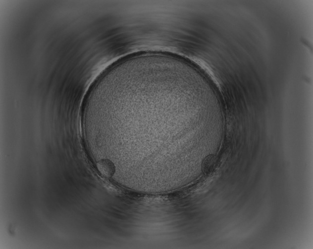 X0000093230887200710171416