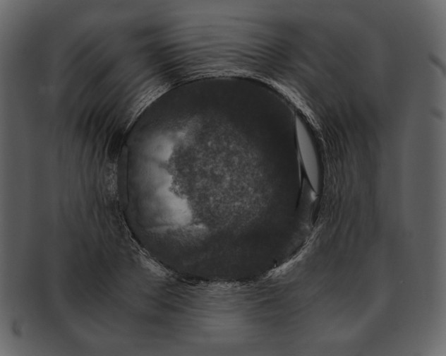 X0000093230889200710171416