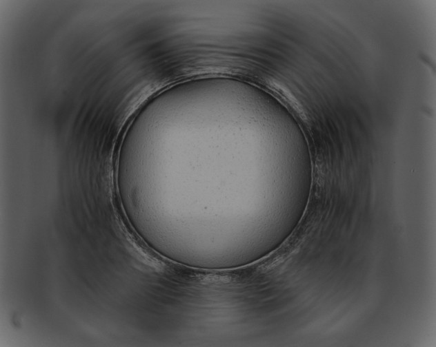 X0000093230890200710171416