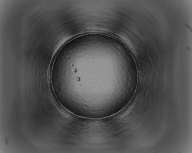 X0000093230891200710171416