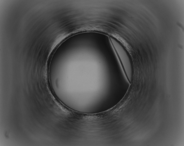 X0000093230894200710171416