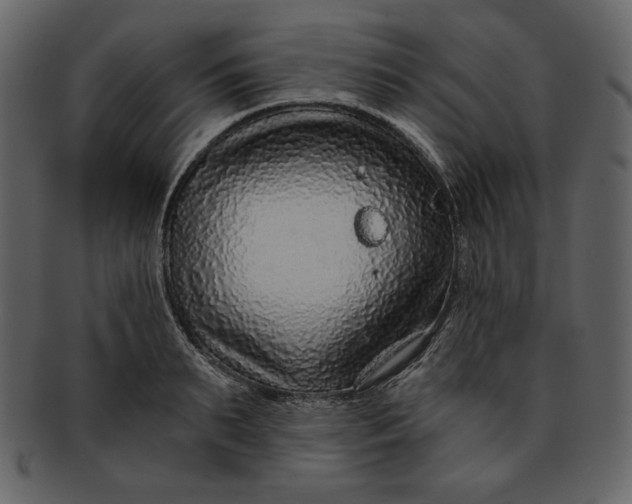 X0000093230895200710171416