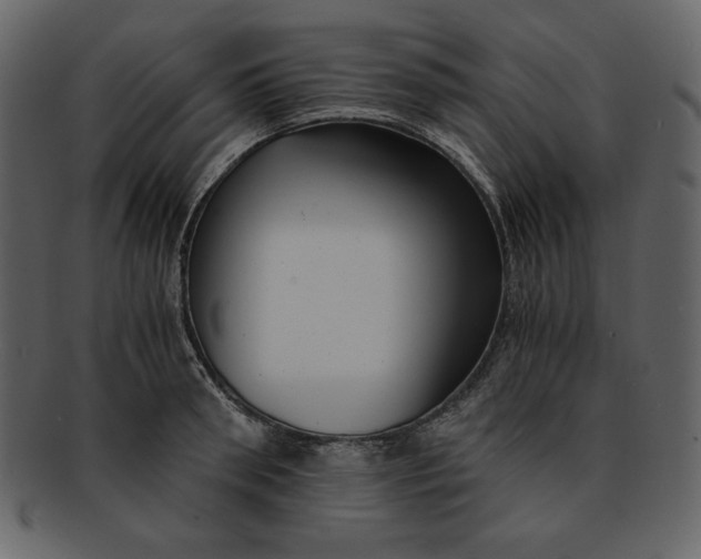 X0000093230898200710171416