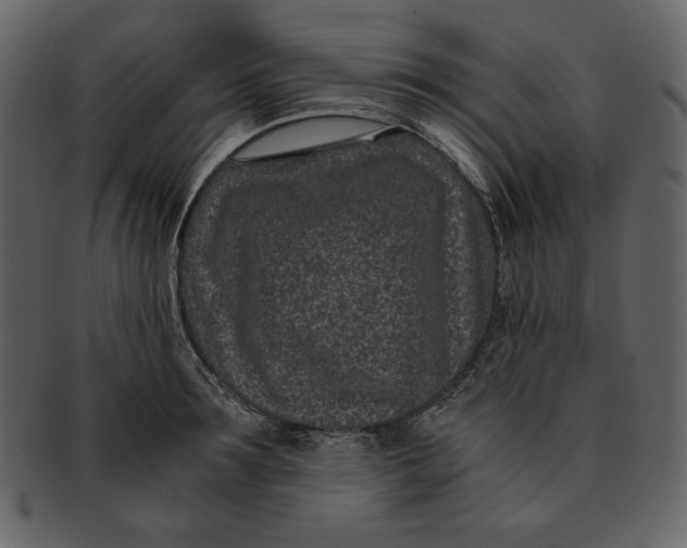 X0000093230899200710171416