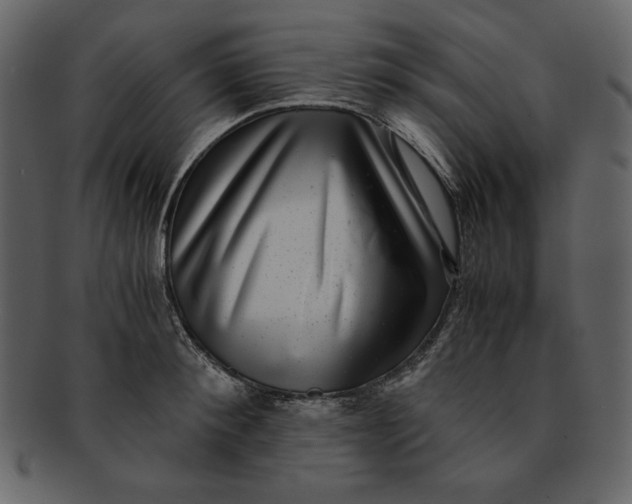 X0000093230900200710171416