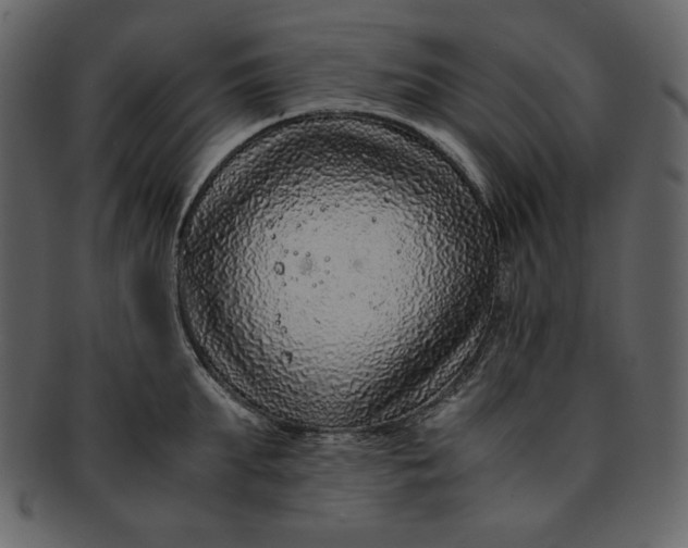 X0000093230903200710171416