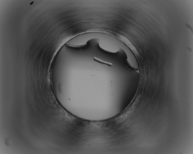 X0000093230908200710171416