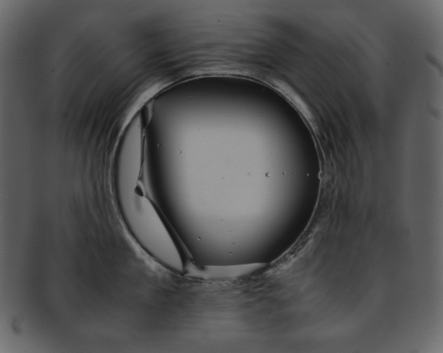 X0000093230909200710171416