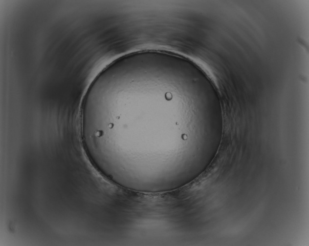 X0000093230911200710171416