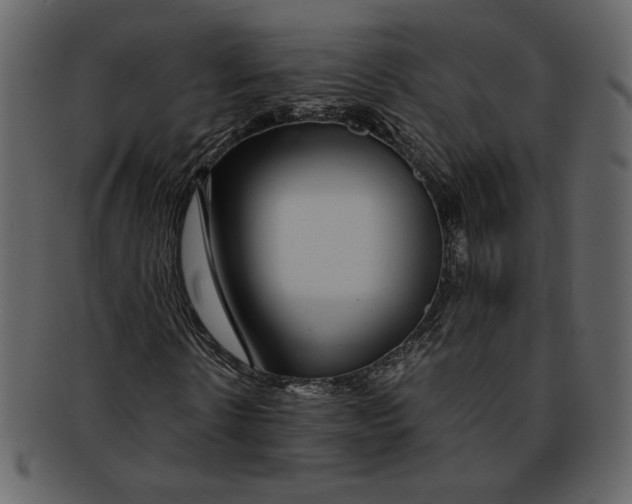 X0000093230914200710171415