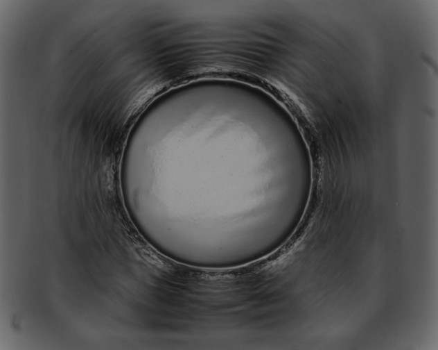 X0000093230921200710171415