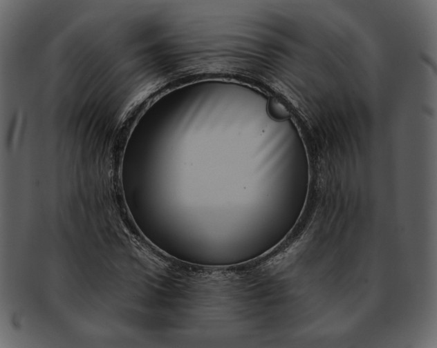 X0000093230922200710171415