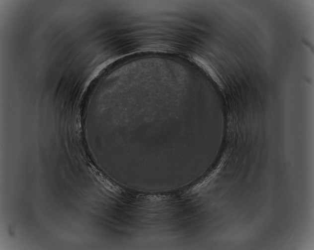 X0000093230923200710171415