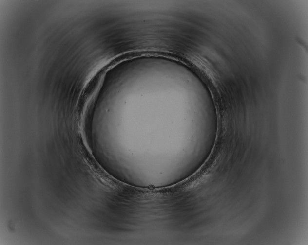 X0000093230925200710171415