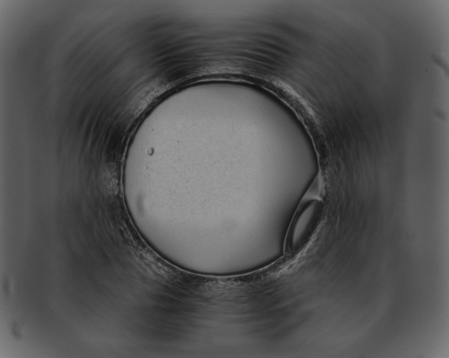 X0000093230929200710171415