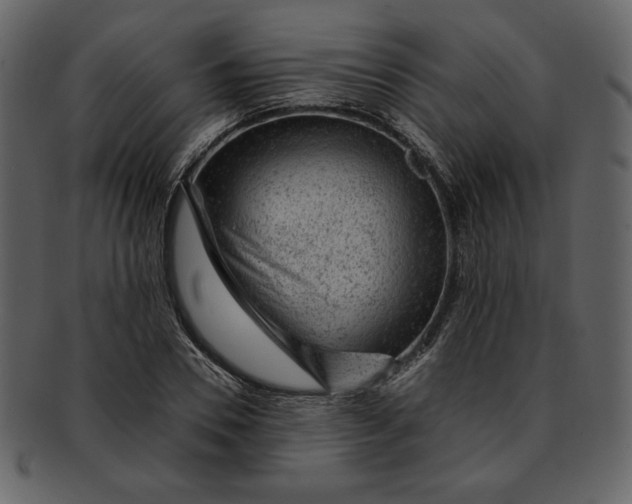 X0000093230930200710171415