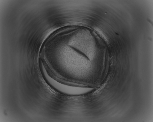 X0000093230932200710171415