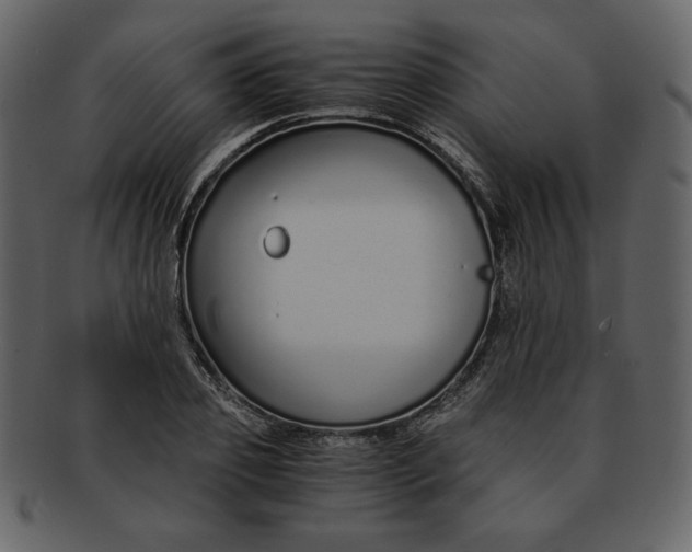 X0000093230933200710171415