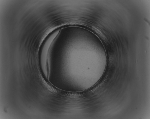 X0000093230934200710171415