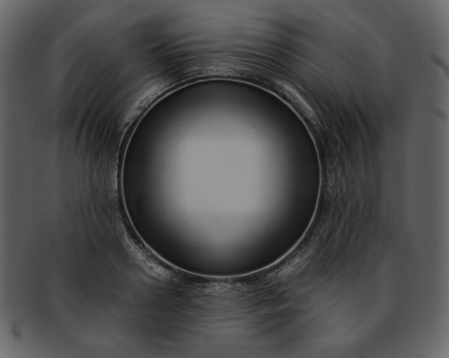 X0000093230938200710171415