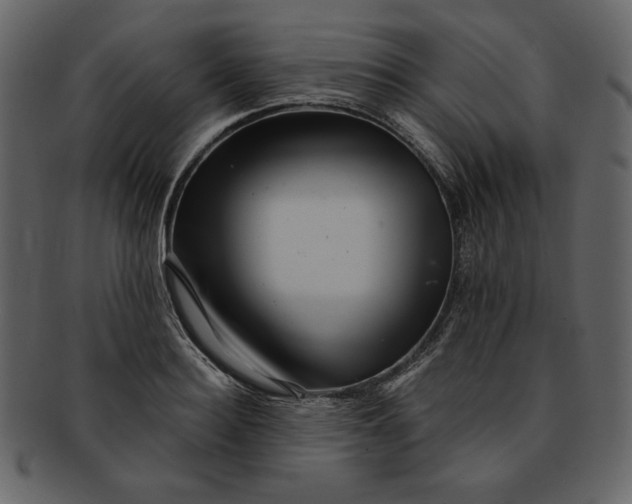 X0000093230940200710171415