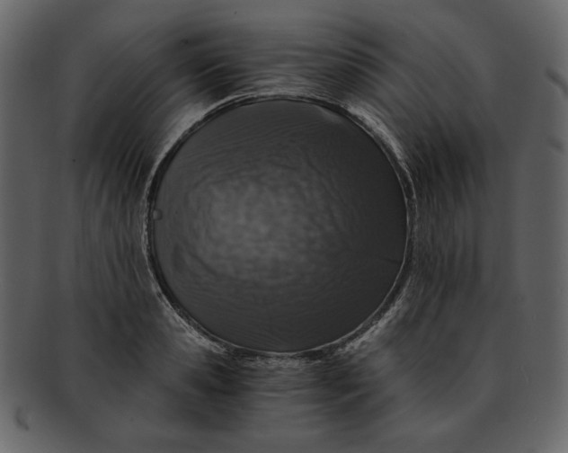 X0000093230941200710171415